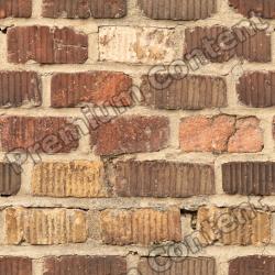 Seamless Textures of Bricks + Normal & Bump Mapping